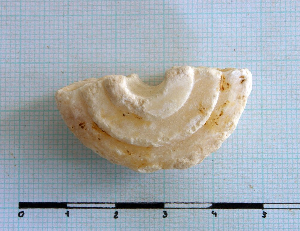 Fragment of spindel-whorl