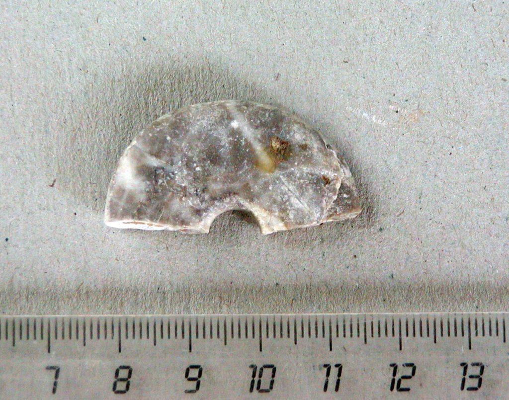 Fragment of spindle-whorl or a button