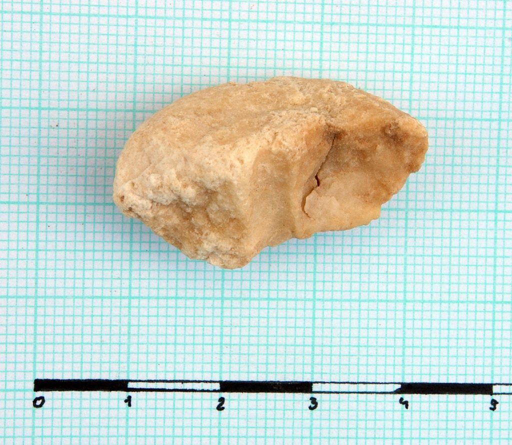 Fragment of spindle-whorl