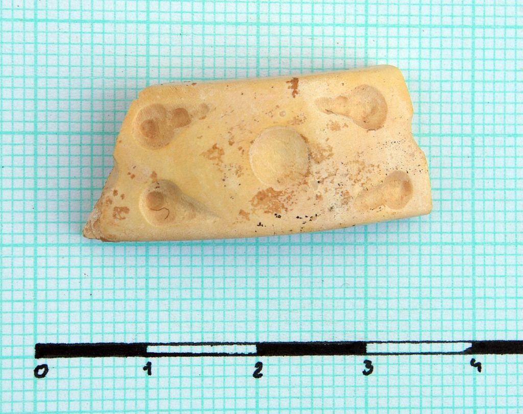 Fragment of mother-of-pearl object
