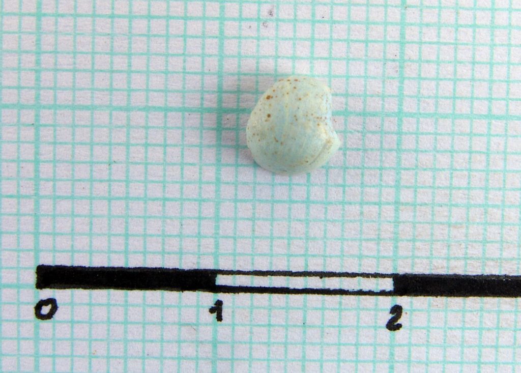 Fragment of light blue bead of glass paste