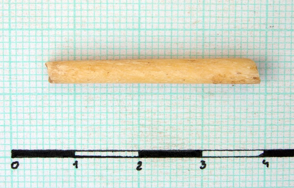 Fragment of a bone pin